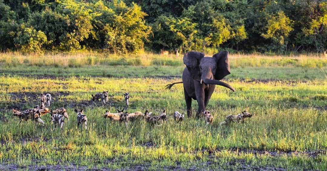 IMG_20180329_005349_772