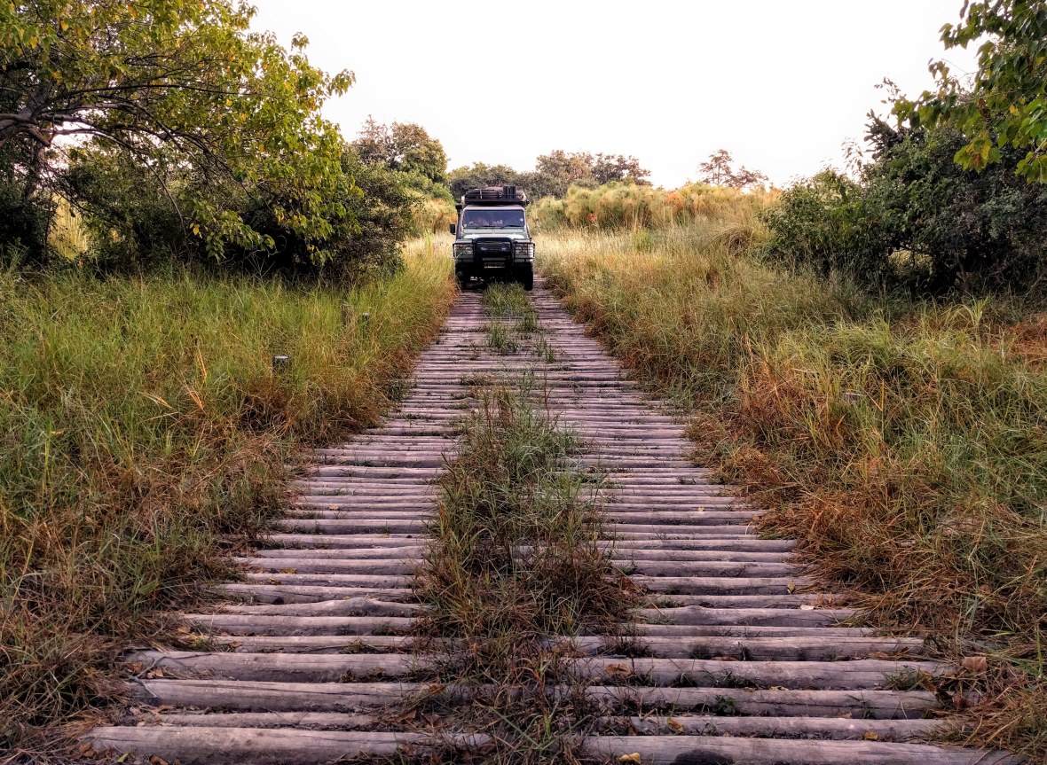 IMG_20180424_064302_2