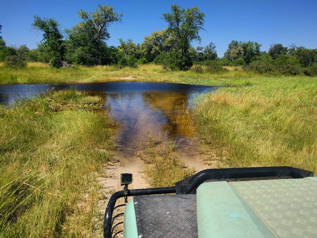 IMG_20180501_121125_984